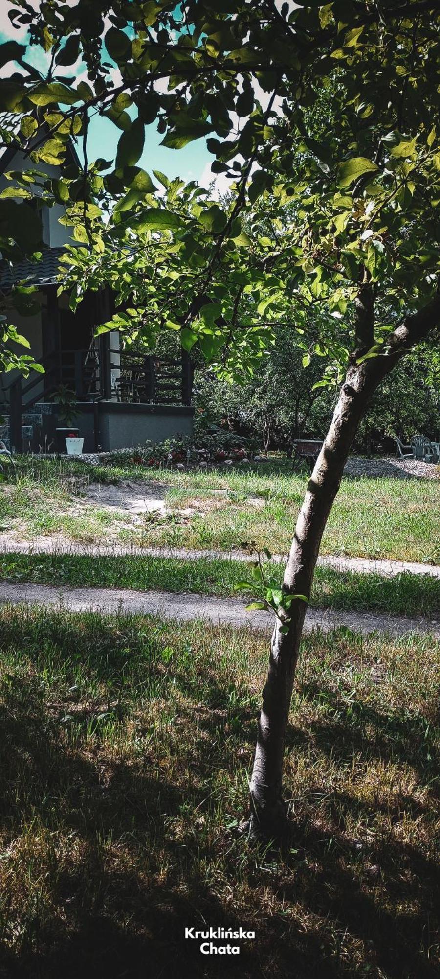Kruklinska Chata - Domek Na Mazurach Esterno foto