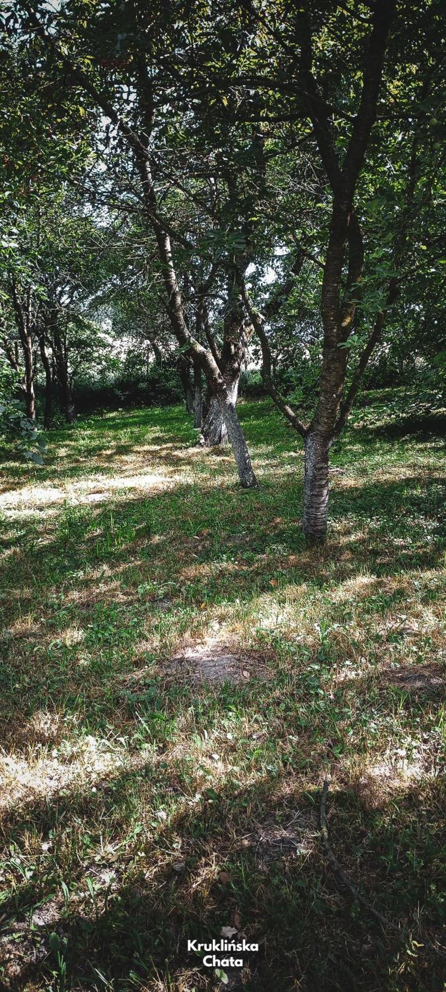 Kruklinska Chata - Domek Na Mazurach Esterno foto